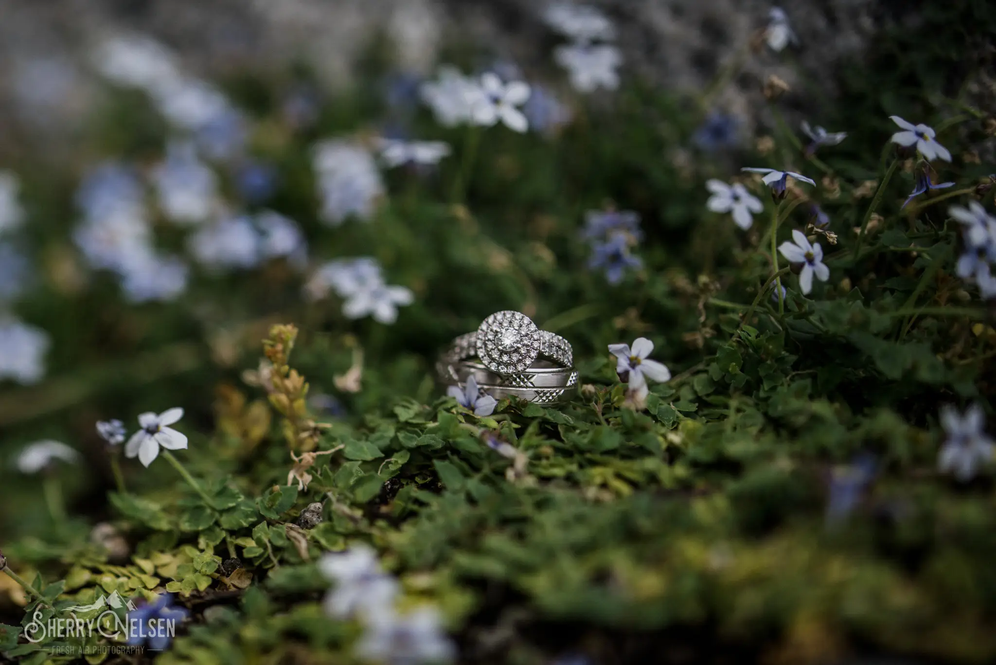 shelby's and Shane's wedding rings 