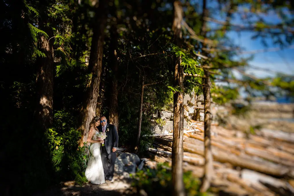 bride and groom portraits sunshine coast wedding