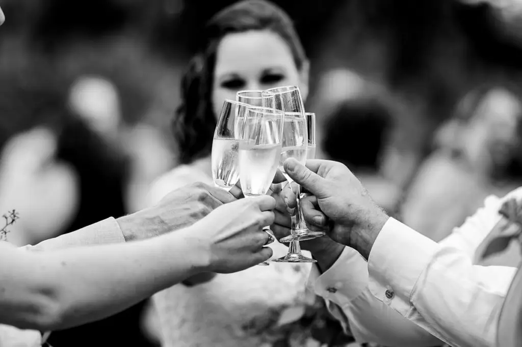 bridesmaid toast with the wedding party