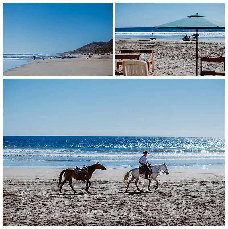 Jeff and Leah enjoyed watching horses on a beach in Troncones, Mexico