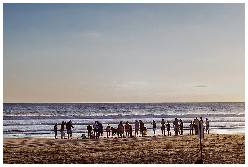 people standing on a beach in Troncones Mexico as they release the baby turtles