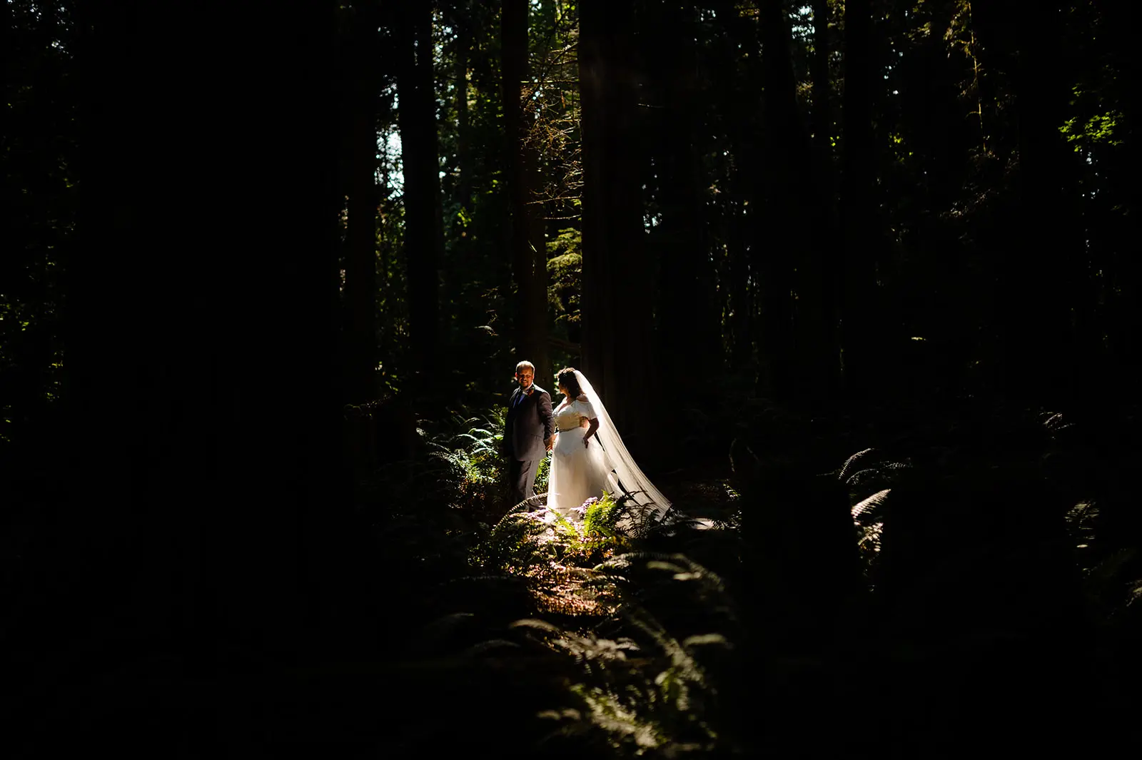 a bride and groom stand in a patch of sunlight in a rainforest on the sunshine coast of bc during their adventure wedding